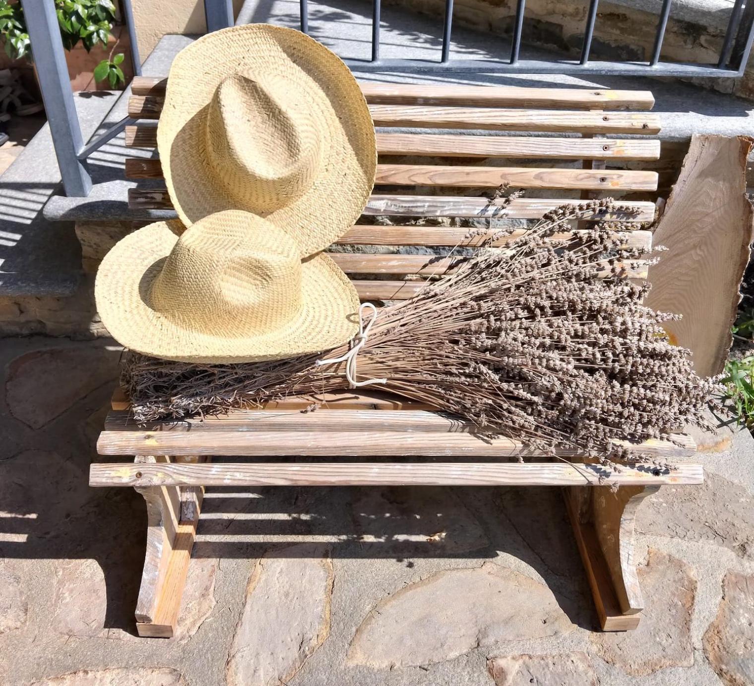 Farm stay Barbarossa *
