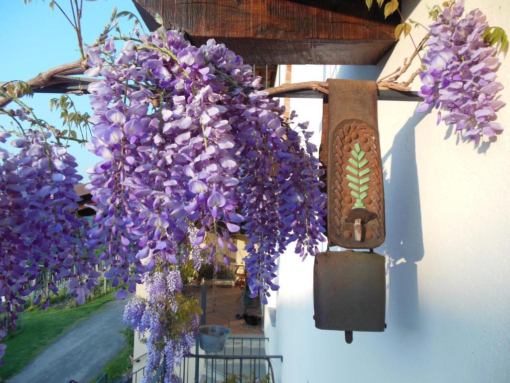 Barbarossa Farm stay Dogliani