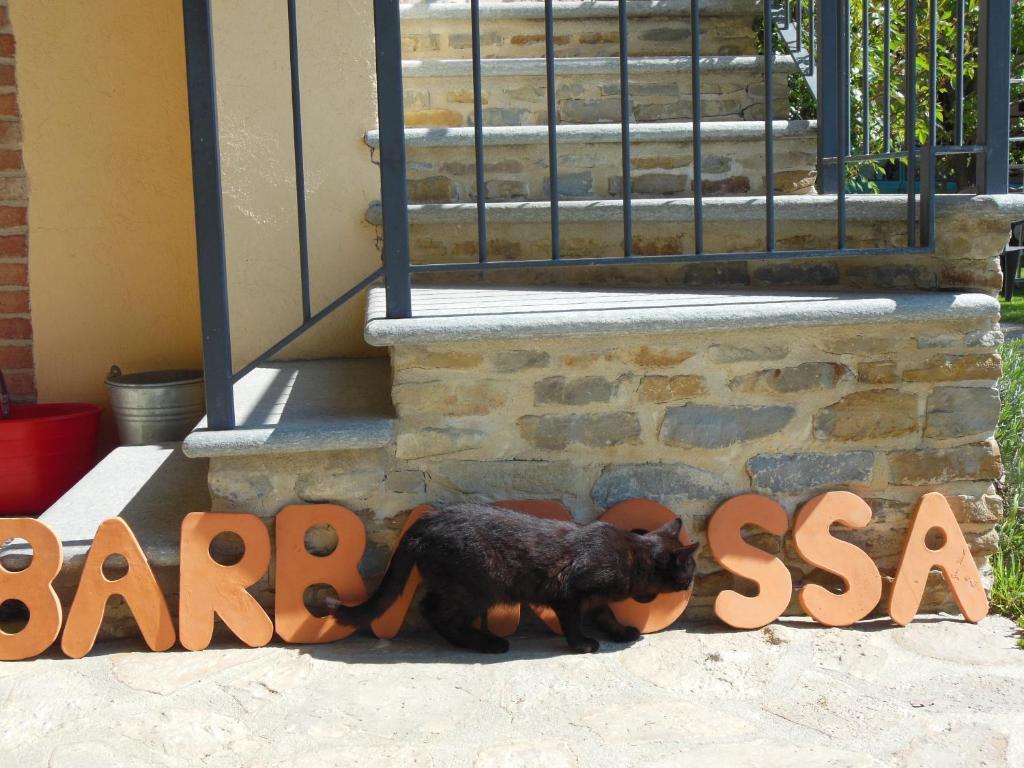 Barbarossa Farm stay Dogliani