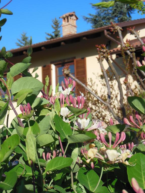 Barbarossa Farm stay