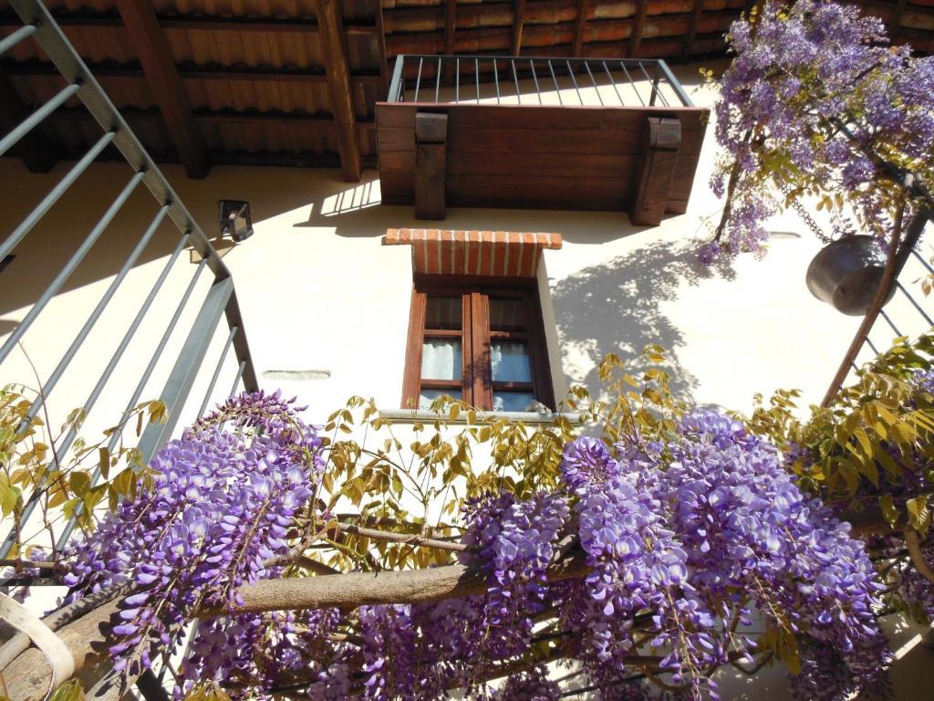 Barbarossa Farm stay *